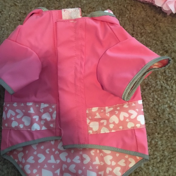 Puppy bundle! - Picture 2 of 3